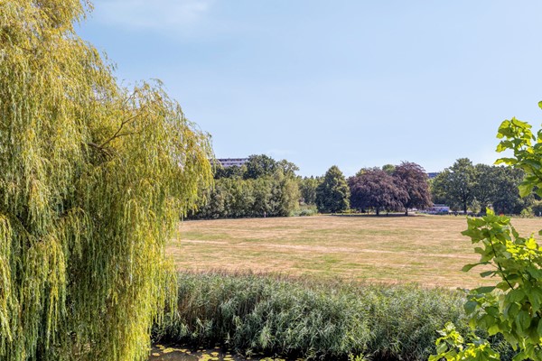 DeTinneweide1393901KJVeenendaal-73.jpg