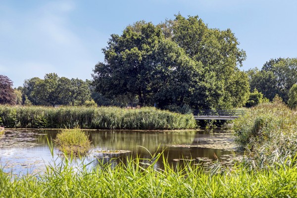 DeTinneweide1393901KJVeenendaal-74.jpg