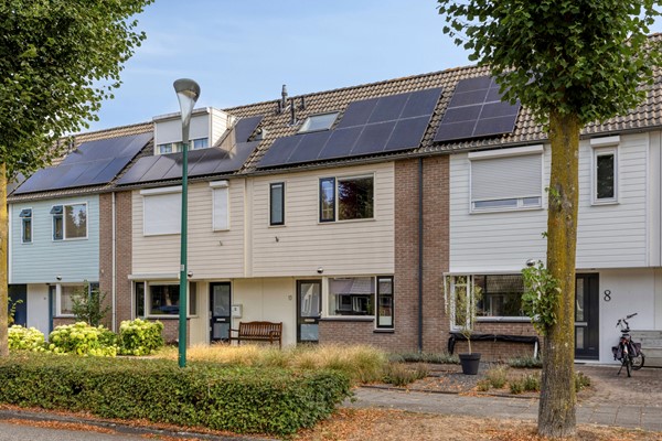 Rietzanger103906neVeenendaal-05.jpg