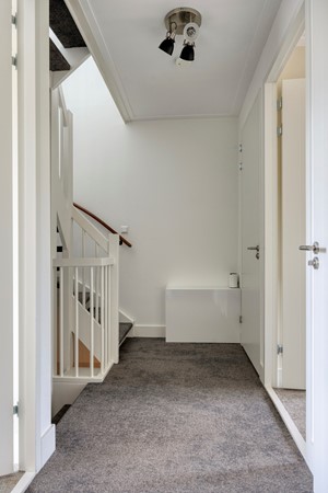 Waterhoen43907HBVeenendaal-25.jpg