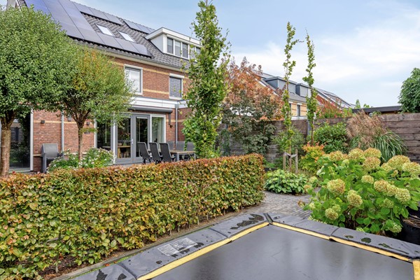 Waterhoen43907HBVeenendaal-44.jpg