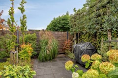 Waterhoen43907HBVeenendaal-45.jpg