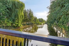 Waterhoen43907HBVeenendaal-51.jpg