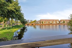 Waterhoen43907HBVeenendaal-52.jpg