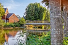 Waterhoen43907HBVeenendaal-53.jpg
