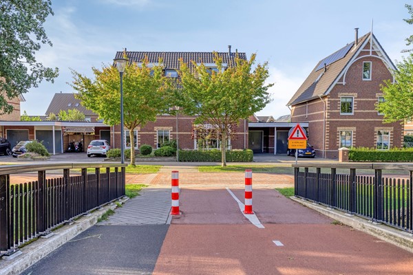 Waterhoen43907HBVeenendaal-02.jpg