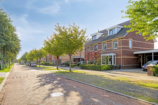 Waterhoen43907HBVeenendaal-06.jpg