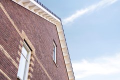 Waterhoen43907HBVeenendaal-10.jpg