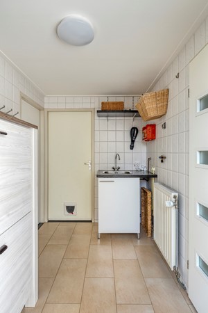 Friesesteeg23911VRRhenen-20.jpg