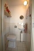 toilet1.JPG