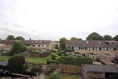 IMG_6461.JPG