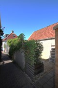 IMG_6590.JPG
