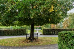 Snekerstraat 46-58.jpg