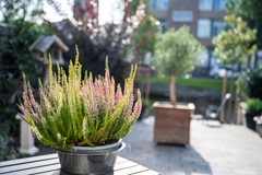 Pottenbakkersstraat 8-41.jpg