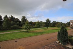 IMG_6775.JPG