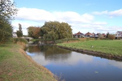 IMG_6957.JPG