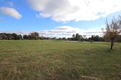 IMG_6954.JPG
