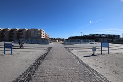 IMG_7837.JPG
