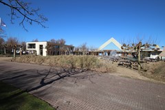 IMG_7841.JPG