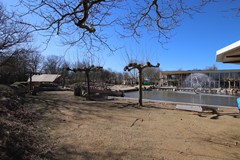 IMG_7845.JPG