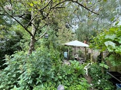 foto11.jpg