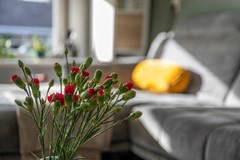 Roordstrjitte 19 Nijland-33.jpg