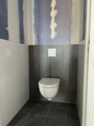 toilet.jpg