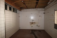 IMG_8335.JPG