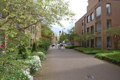New for rent: Carry van Bruggenstraat, 3511 MZ Utrecht