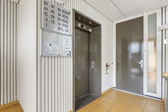 149A8695.jpg