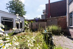 New for rent: Amsterdamsestraatweg, 3555 HE Utrecht