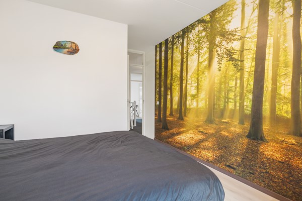 Medium property photo - Rolderdiephof, 3521 DC Utrecht