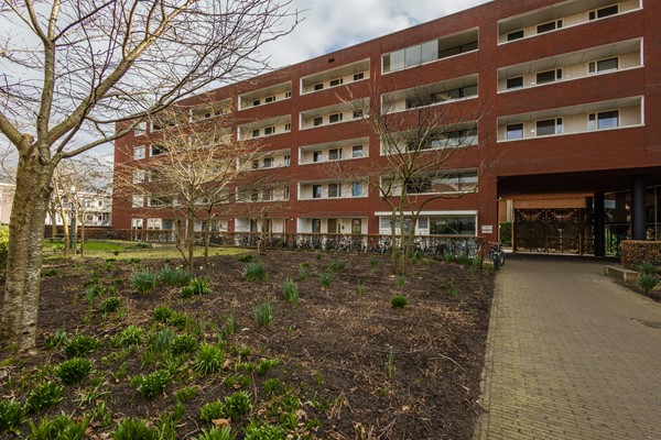 Medium property photo - Veilingstraat, 3521 BE Utrecht