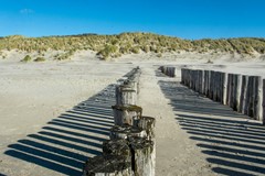 strand.jpg