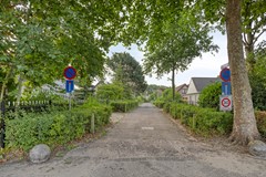 Roggebos14328PMBurghHaamstede-05.jpg