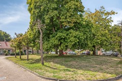tLageBurgh224328pbBurghHaamstedeNL-37.jpg