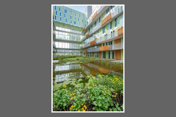 Medium property photo - Postjesweg 242, 1061 AX Amsterdam