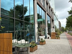 IMG_1485.jpeg