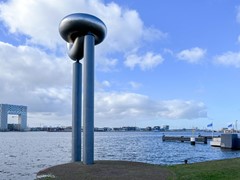 IMG_8173.jpg