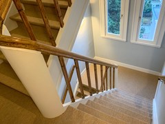 IMG_1926.jpg