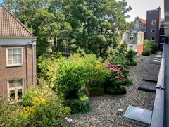 IMG_7269.jpg