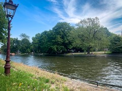 IMG_7290.jpg
