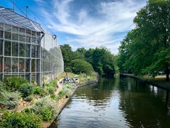IMG_7294.jpg