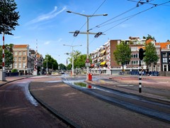 IMG_7293.jpg