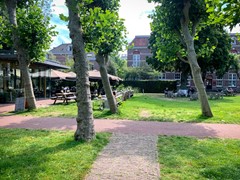 IMG_7298.jpg
