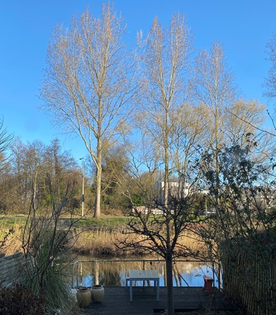 Medium property photo - Schellingwouderdijk 93, 1023 NA Amsterdam