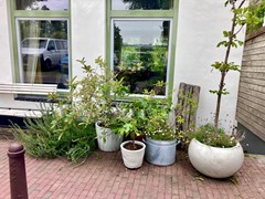 WhatsApp Image 2026-01-18 at 13.16.30.jpeg