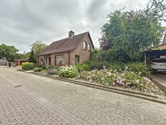 galjoen_00031.jpg