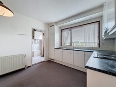 galjoen_00007.jpg