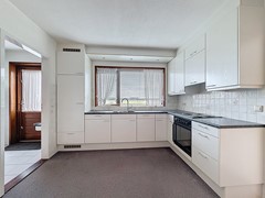 galjoen_00009.jpg